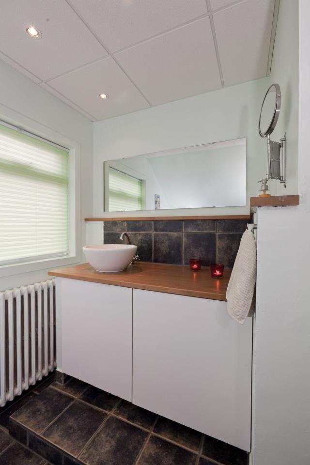 Blue House B&B Seltjarnarnes エクステリア 写真